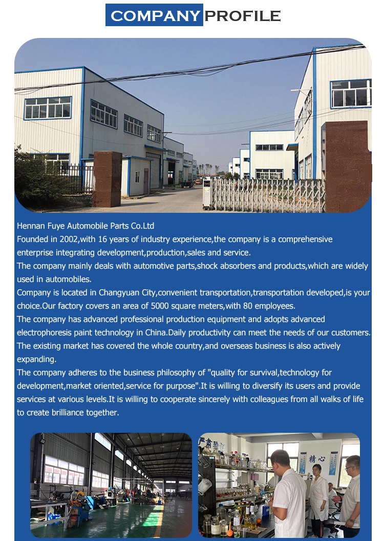 Rear Shock Absorber Factory